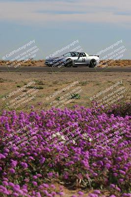 media/Jan-08-2023-SCCA SD (Sun) [[8f6a5b9391]]/Intermediate Group/Session 2 (Short Straight)/